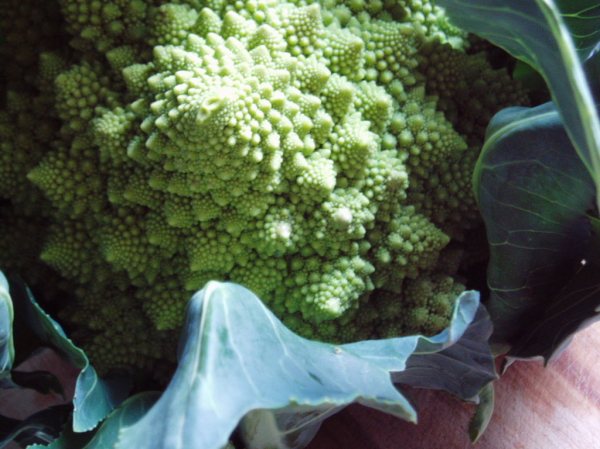 romanesco