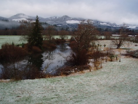 Another angle of the view out my bedroom window.